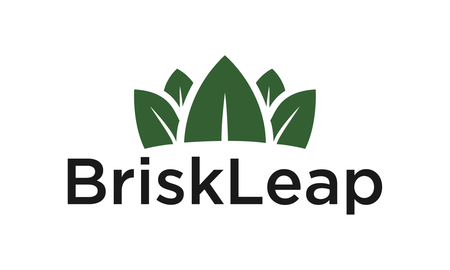 BriskLeap.com - Good premium domains for sale